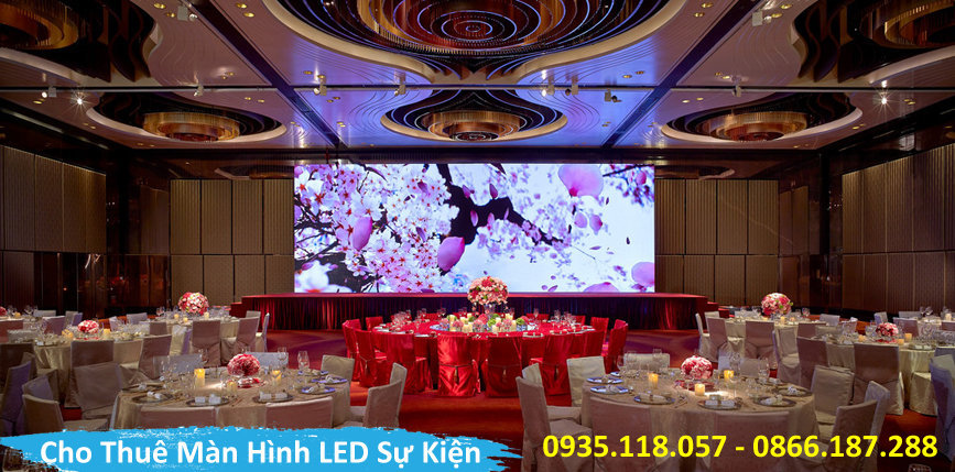 cho thue man hinh led o vinh long (3)
