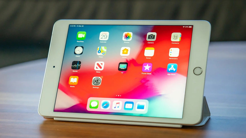 iPAD mini 5 cho thue 800