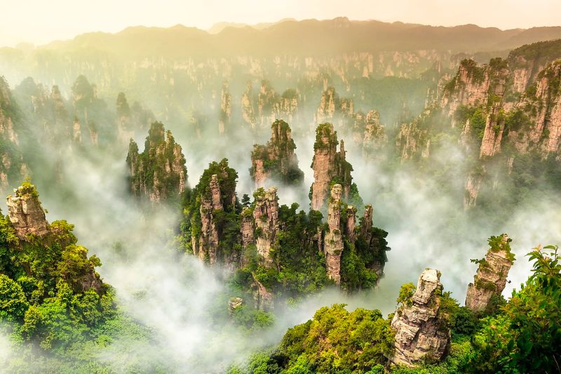 vu-lang-nguyen--truong-gioi-gia-trung-quoc (1)