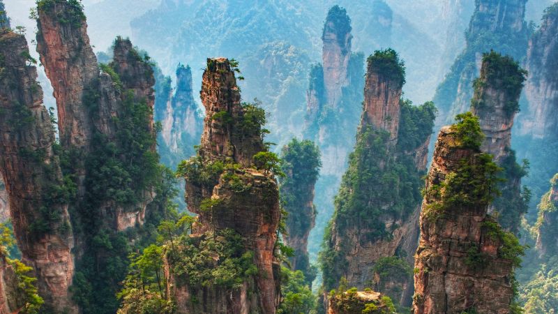 vu-lang-nguyen--truong-gioi-gia-trung-quoc (2)