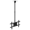 Treo Trần - Ceiling Mount