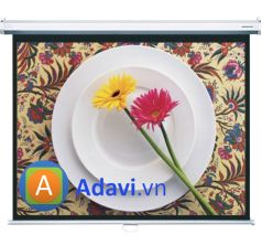 Màn Chiếu Treo Tường Kéo Tay Da-lite 84 inch