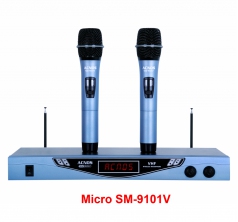 Micro SM-9101V