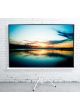 Màn Chiếu 3 Chân Di Động Da-lite 120 inch
