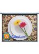 Màn Chiếu Treo Tường Kéo Tay Da-lite 84 inch